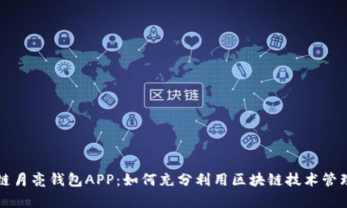 深度解析区块链月亮钱包APP:如何充分利用区块链技术管理您的数字资产