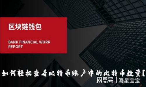 如何轻松查看比特币账户中的比特币数量?