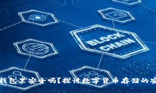虚拟币放在钱包里安全吗?探讨数字货币存储的安全性与风险