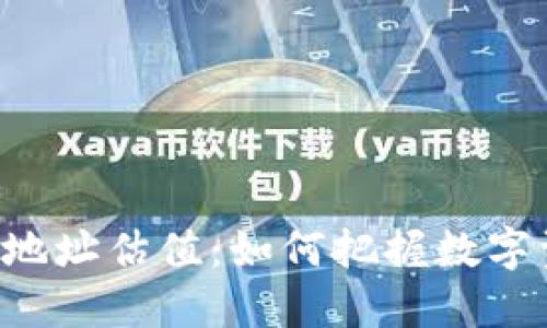 FIL币TPWallet地址估值:如何把握数字资产投资的机会