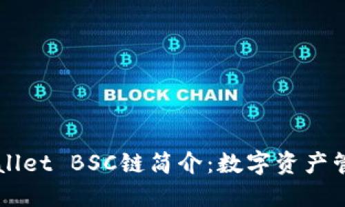 ### TPWallet BSC链简介:数字资产管理的新选择