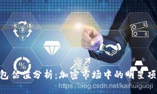 TokenPocket钱包估值分析:加密市场中的明星项目及其未来潜力