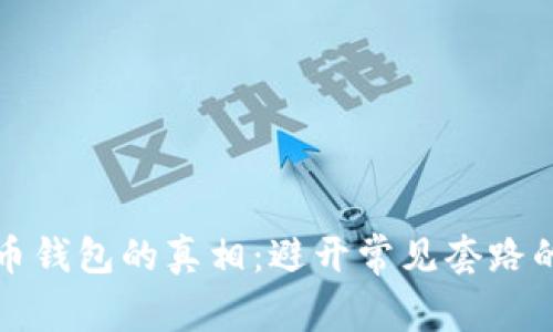 揭开加密货币钱包的真相：避开常见套路的方法和技巧
