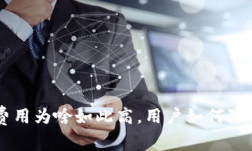 解密TPWallet授权费用为啥如此高,用户如何降低成本获取最大收益