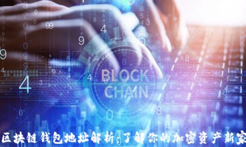 区块链钱包地址解析:了解你的加密资产新家