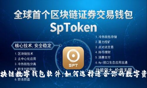 全面解析区块链数字钱包软件：如何选择适合你的数字资产管理工具