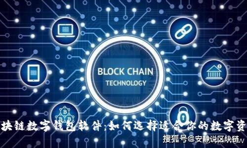 全面解析区块链数字钱包软件：如何选择适合你的数字资产管理工具