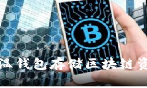 如何安全使用温钱包存储区块链资产的全面指南