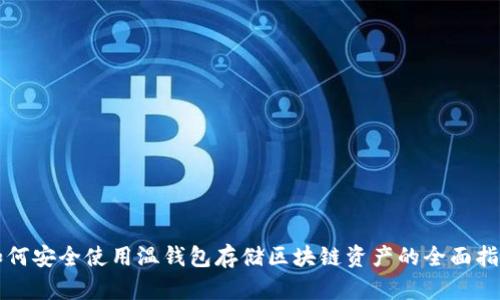 如何安全使用温钱包存储区块链资产的全面指南