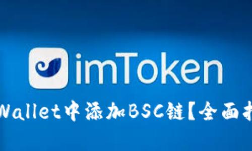 如何在TPWallet中添加BSC链?全面指南与技巧