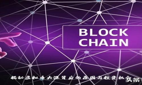 揭秘虚拟币大涨背后的原因与投资机会