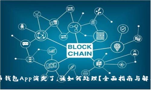 虚拟币钱包App消失了,该如何处理?全面指南与解决方案