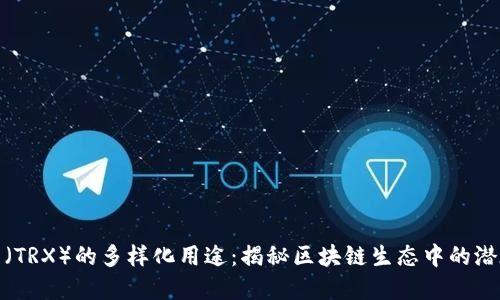 波场币（TRX）的多样化用途：揭秘区块链生态中的潜在价值