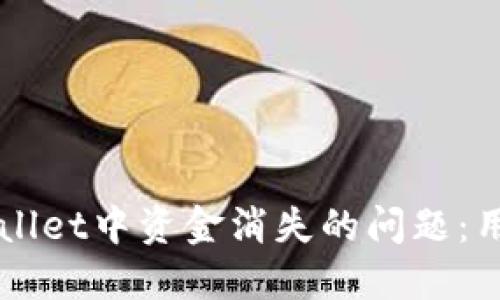 如何解决TPWallet中资金消失的问题：用户的全面指南