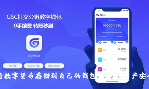 如何安全地将数字货币存储到自己的钱包中，确保资产安全与隐私保护