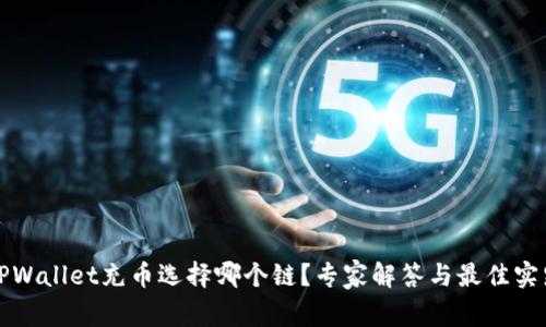 TPWallet充币选择哪个链?专家解答与最佳实践