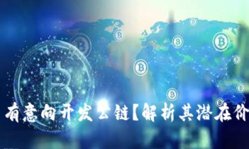 TPWallet是否有意向开发公链？解析其潜在价值与市场前景