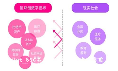 TPWallet BSC不显示币的解决方案与用户指南
