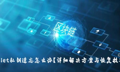 TPWallet私钥遗忘怎么办?详细解决方案与恢复技巧揭秘