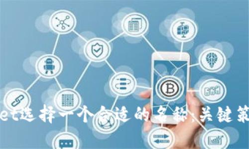 如何为TPWallet选择一个合适的名称:关键策略与实用建议