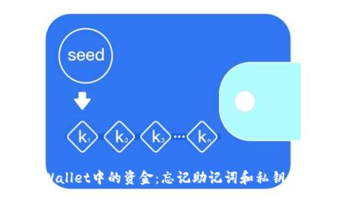 如何找回TPWallet中的资金:忘记助记词和私钥时的应对策略