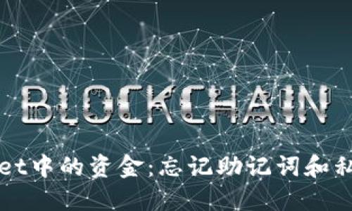 如何找回TPWallet中的资金:忘记助记词和私钥时的应对策略