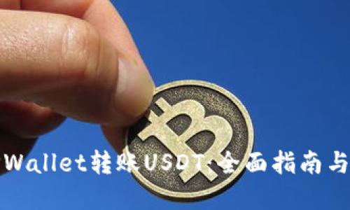 如何向TPWallet转账USDT:全面指南与实用技巧