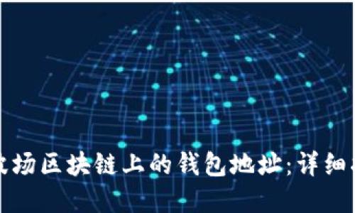 如何高效查询波场区块链上的钱包地址:详细指南与实用技巧