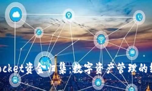 TokenPocket资金归集:数字资产管理的终极指南