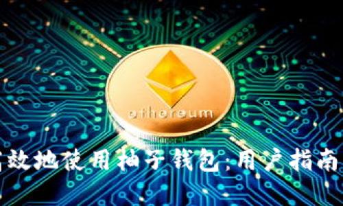 如何安全高效地使用柚子钱包：用户指南与最佳实践