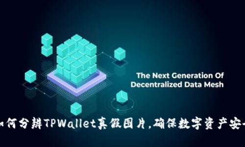 如何分辨TPWallet真假图片，确保数字资产安全