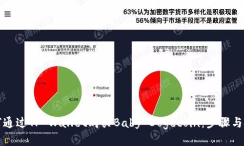 如何通过TP Wallet购买Baby Dogecoin：步骤与技巧