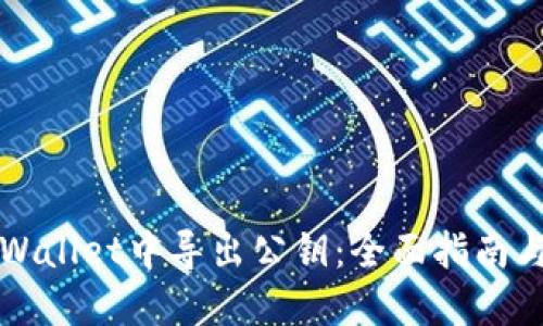 如何在TPWallet中导出公钥:全面指南与实用技巧