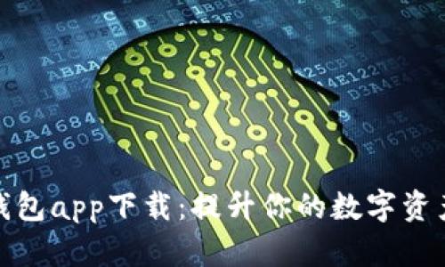 如何选择最佳热钱包app下载：提升你的数字资产安全与交易体验