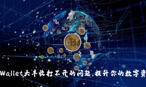 如何解决TPWallet大丰收打不开的问题，提升你的数字资产管理体验