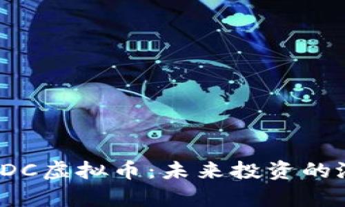 全面解析EDC虚拟币:未来投资的潜力与风险