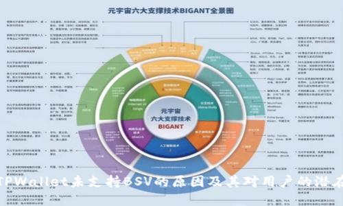 探索TPWallet未支持BSV的原因及其对用户的潜在影响