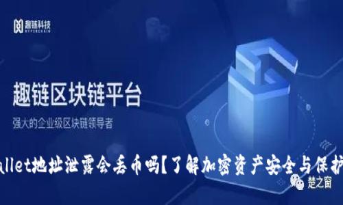 tpwallet地址泄露会丢币吗？了解加密资产安全与保护策略