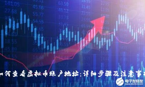 如何查看虚拟币账户地址:详细步骤及注意事项