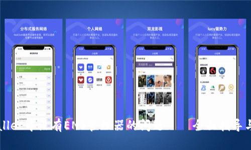 如何解决TPWallet中没有ENS管理器的问题——全面指导与用户价值分析