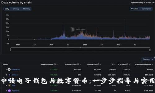 如何申请电子钱包与数字货币：一步步指导与实用技巧