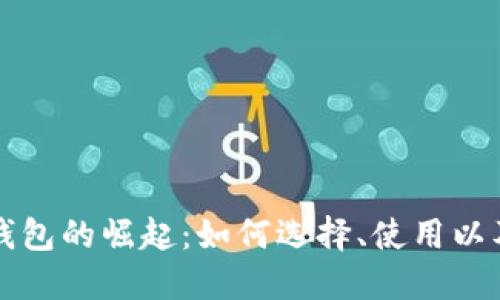 国内数字钱包的崛起:如何选择、使用以及潜在收益