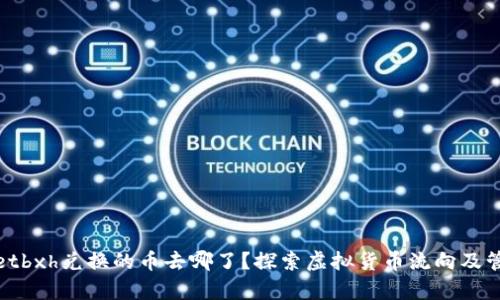 tpwalletbxh兑换的币去哪了？探索虚拟货币流向及管理技巧