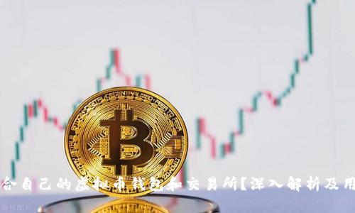 如何选择适合自己的虚拟币钱包和交易所?深入解析及用户收益指南