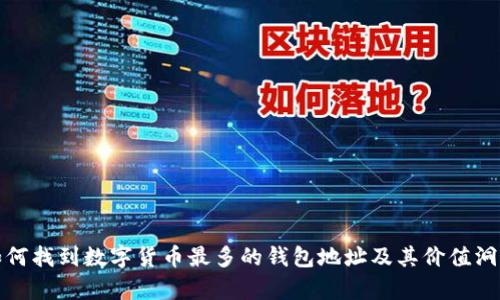 如何找到数字货币最多的钱包地址及其价值洞察