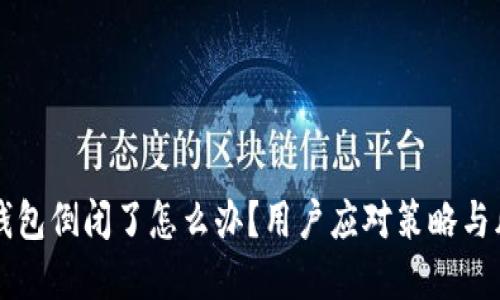 虚拟币钱包倒闭了怎么办？用户应对策略与风险管理