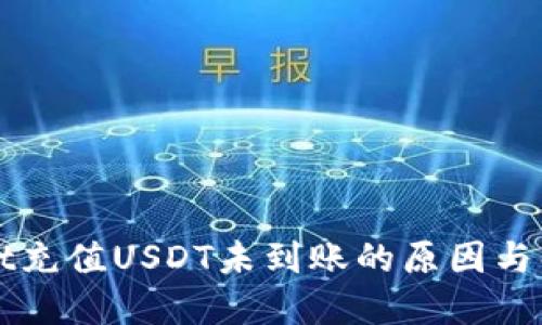 TPWallet充值USDT未到账的原因与解决方案