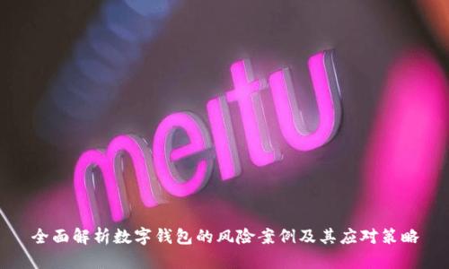 全面解析数字钱包的风险案例及其应对策略