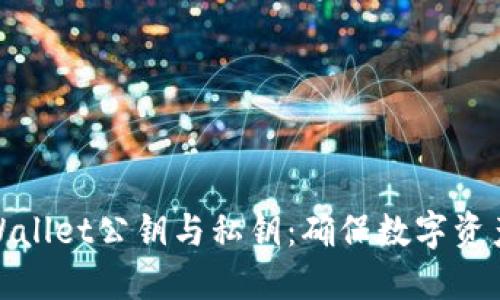 深入理解TPWallet公钥与私钥：确保数字资产安全的关键
