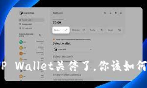 如果TP Wallet关停了，你该如何应对？